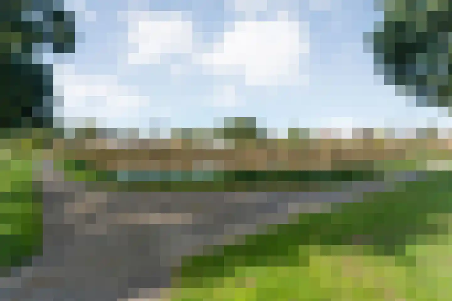 Madeliefje 15 Hardenberg thumbnail 94