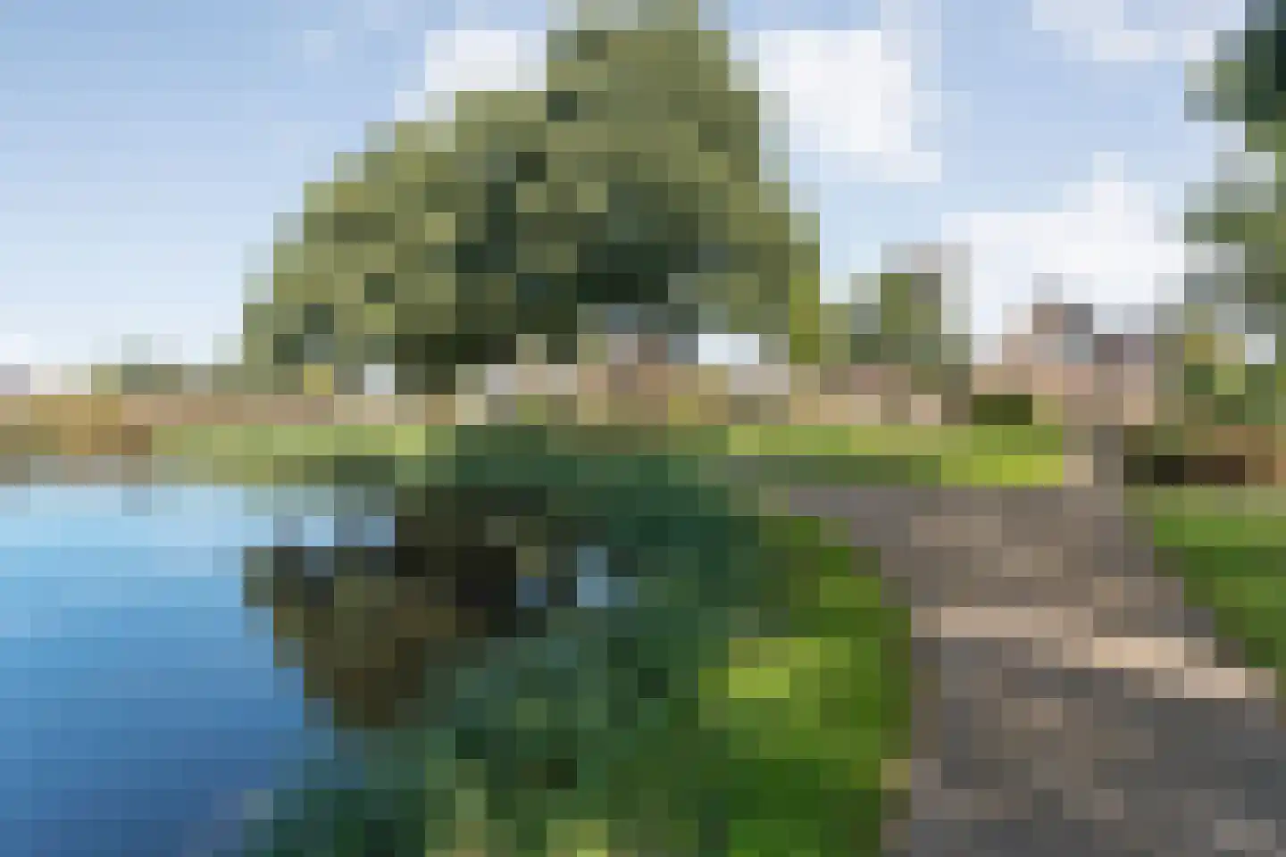 Madeliefje 15 Hardenberg thumbnail 95
