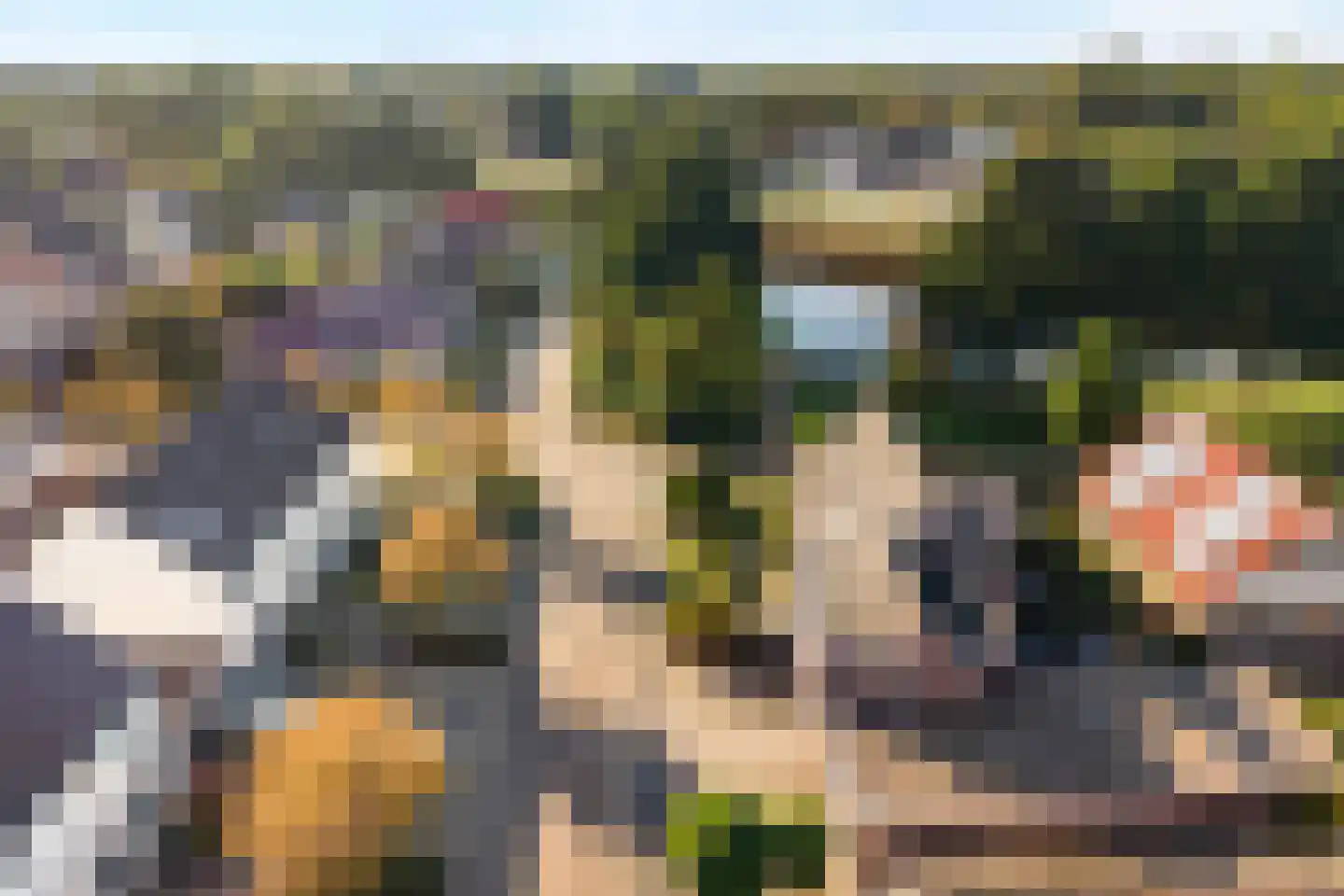 Madeliefje 15 Hardenberg thumbnail 96