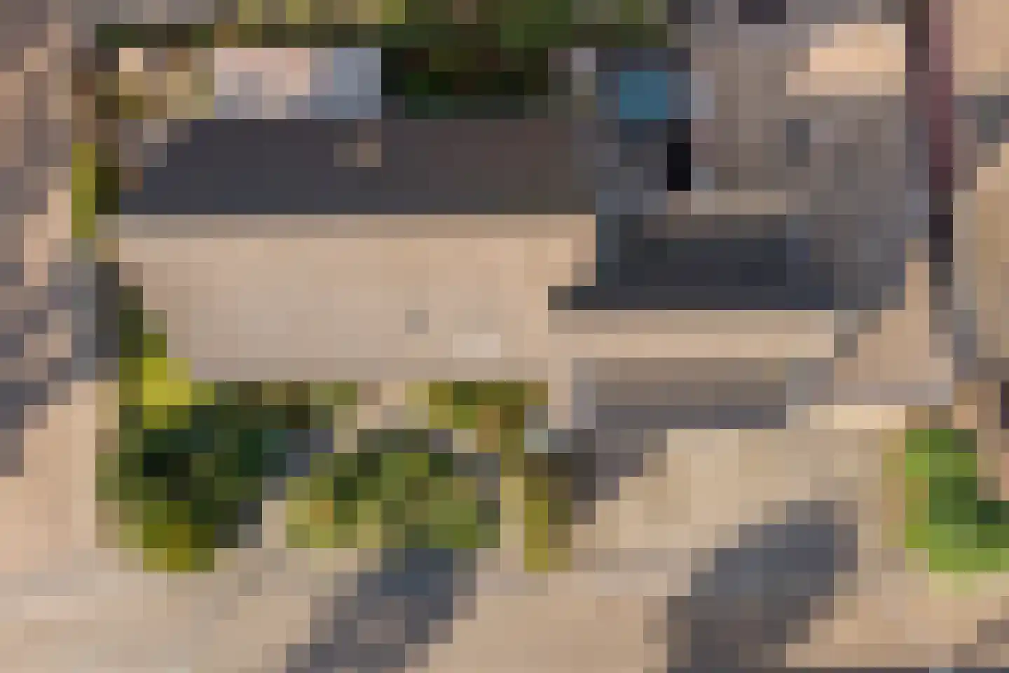 Madeliefje 15 Hardenberg thumbnail 97