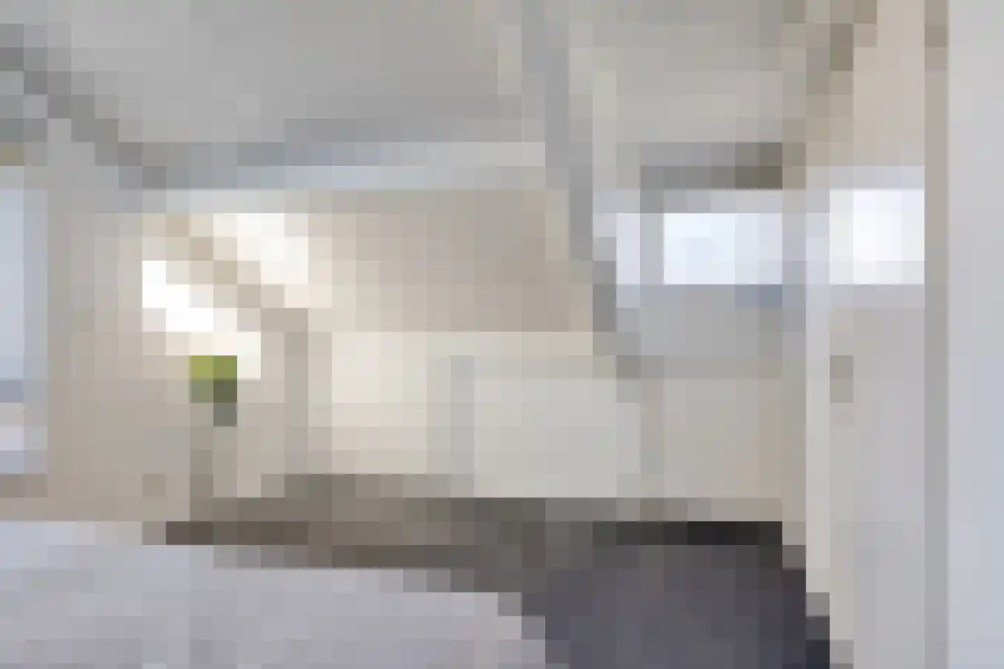 Madeliefje 9 Hardenberg thumbnail 18