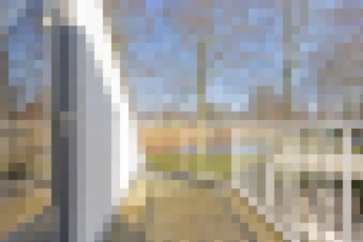 Madeliefje 9 Hardenberg thumbnail 20