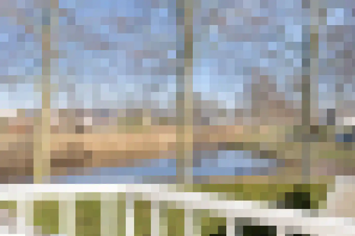 Madeliefje 9 Hardenberg thumbnail 21