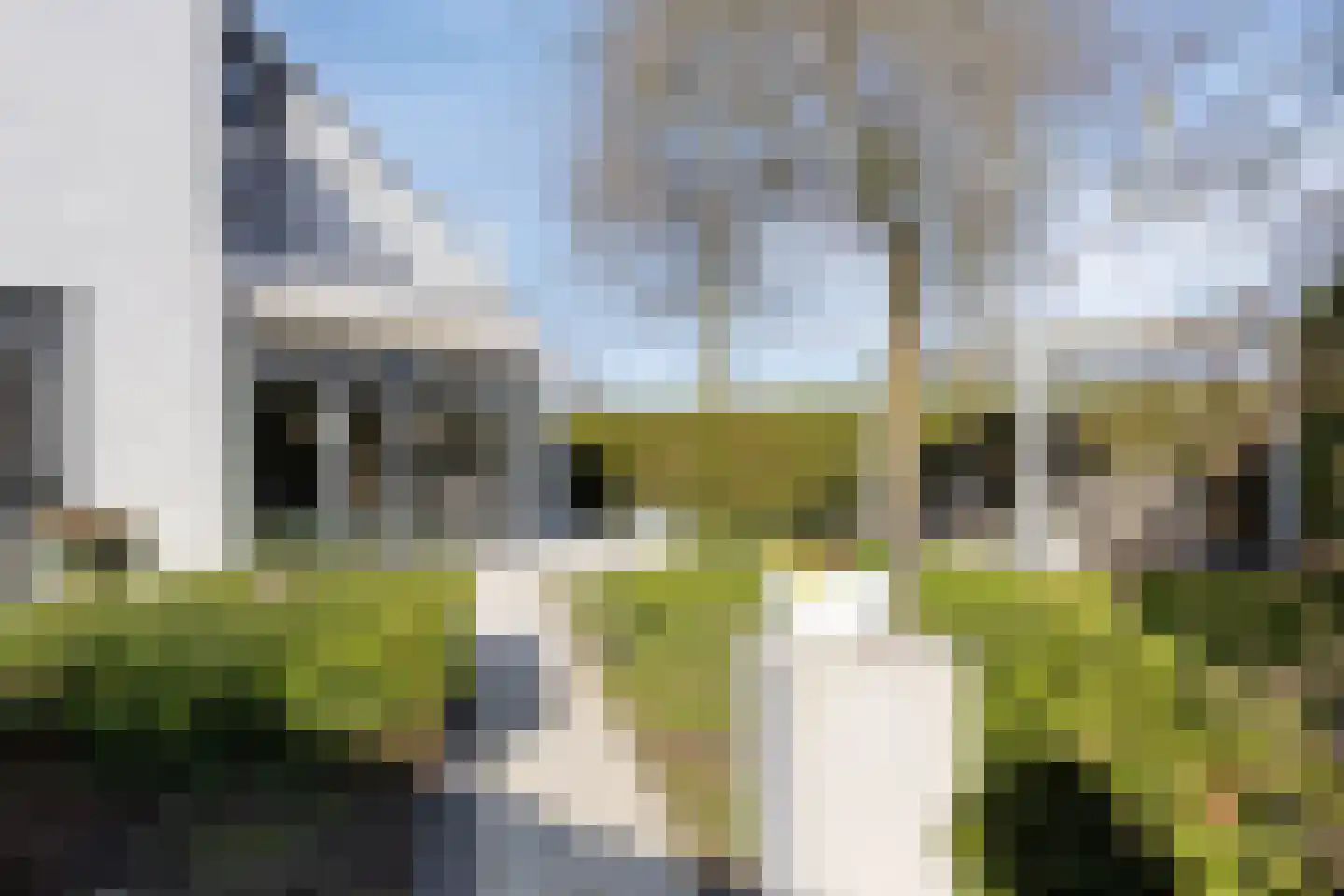 Madeliefje 9 Hardenberg thumbnail 34