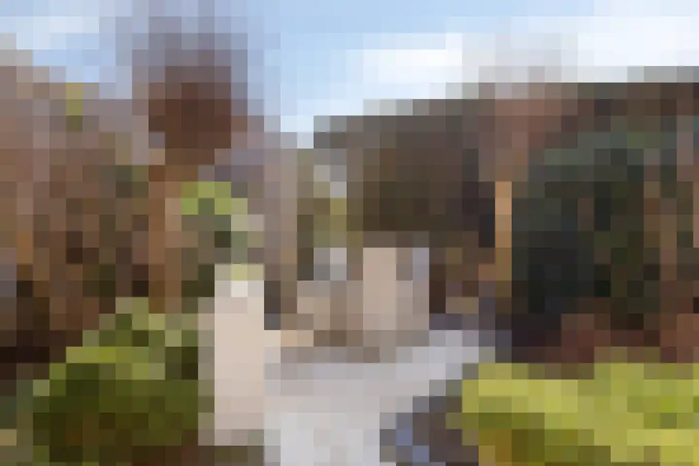 Madeliefje 9 Hardenberg thumbnail 35