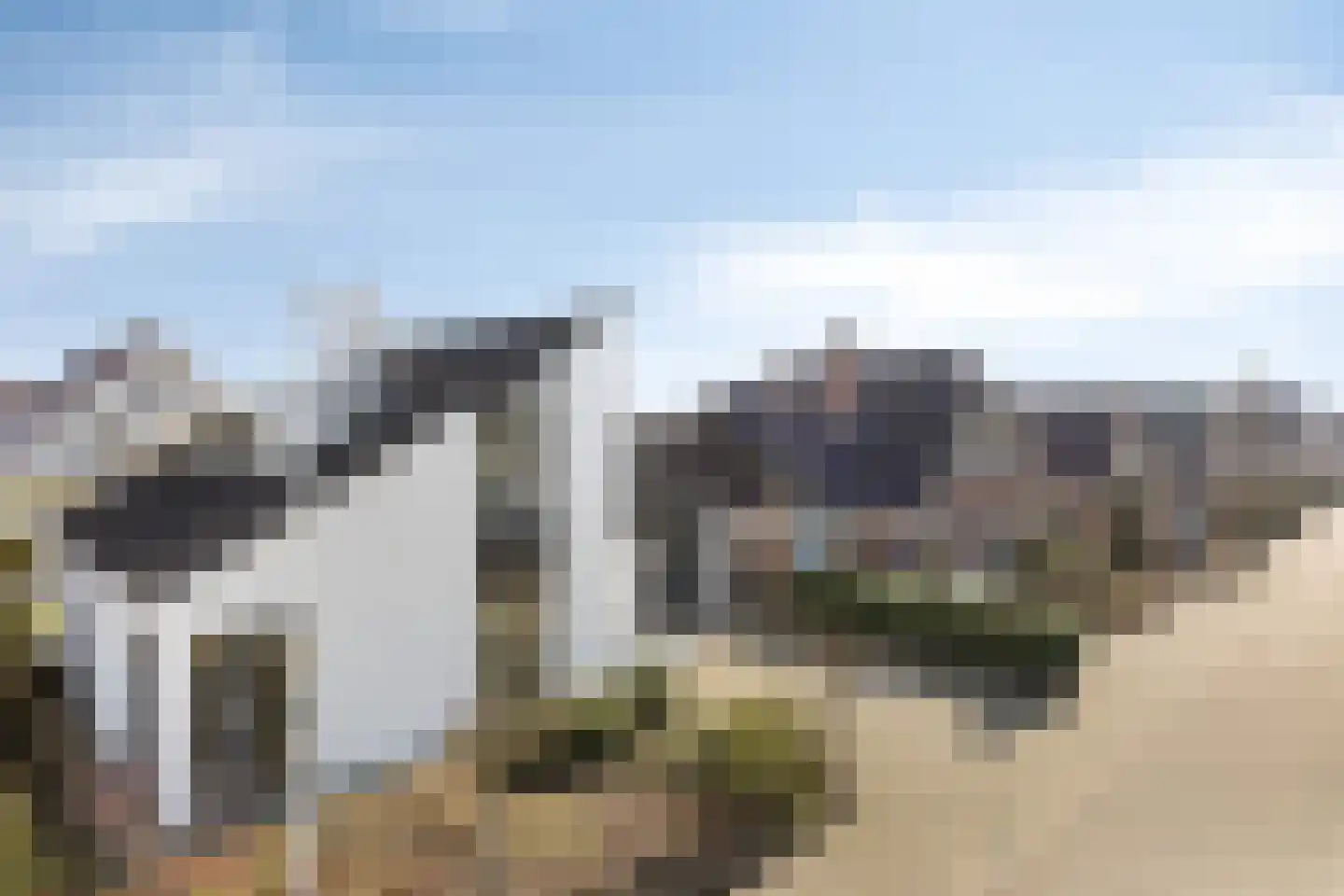Madeliefje 9 Hardenberg thumbnail 37
