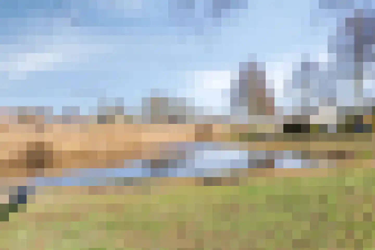 Madeliefje 9 Hardenberg thumbnail 38
