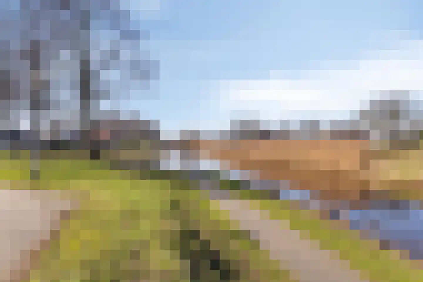 Madeliefje 9 Hardenberg thumbnail 39
