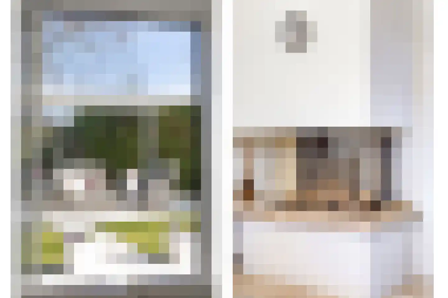 Madeliefje 9 Hardenberg thumbnail 6