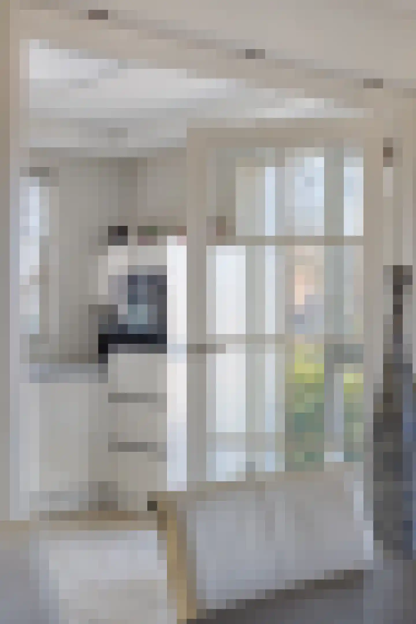 Madeliefje 9 Hardenberg thumbnail 9
