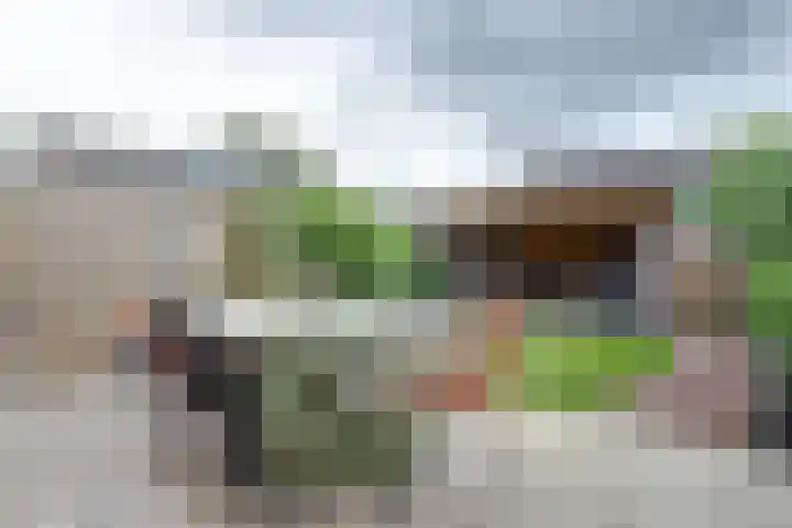 Madelieflaan 28 Baarn thumbnail 28