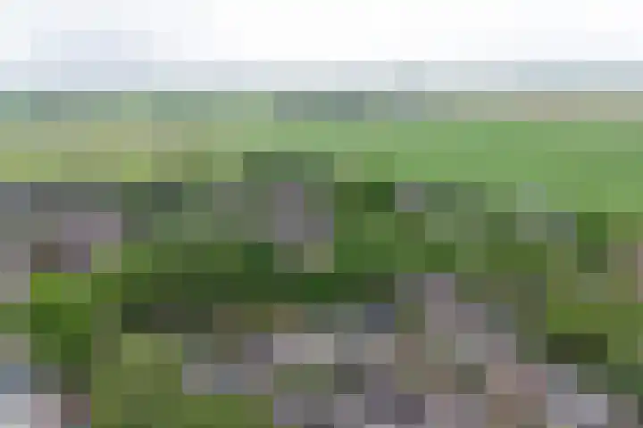 Madelieflaan 28 Baarn thumbnail 30
