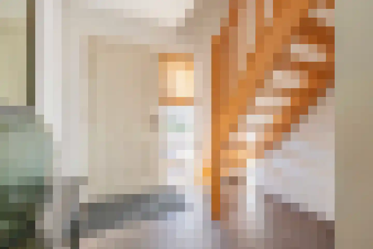 Madelieflaan 9 Hoeven thumbnail 10