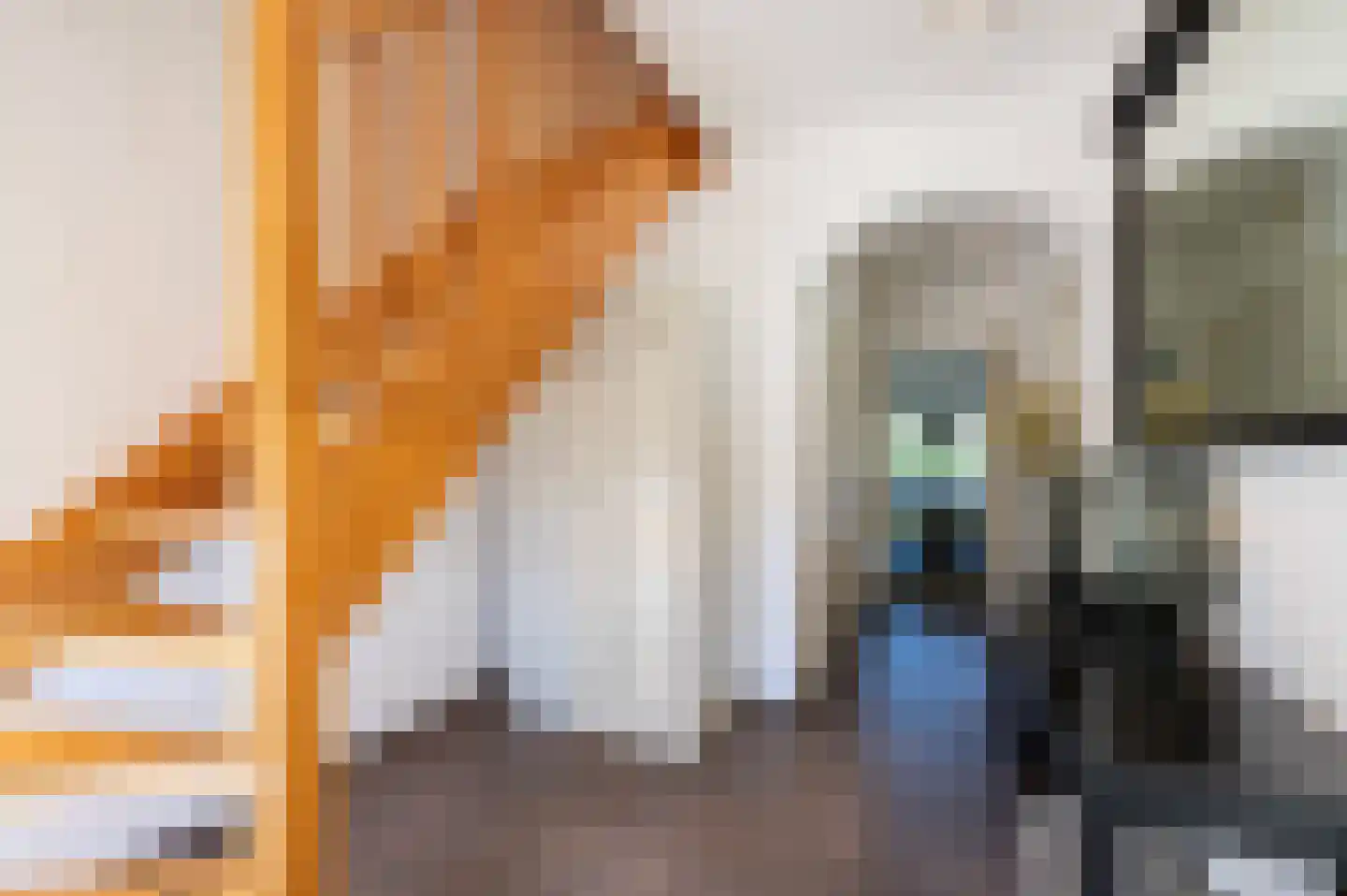 Madelieflaan 9 Hoeven thumbnail 11