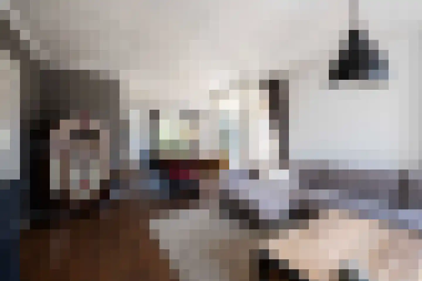 Madelieflaan 9 Hoeven thumbnail 15