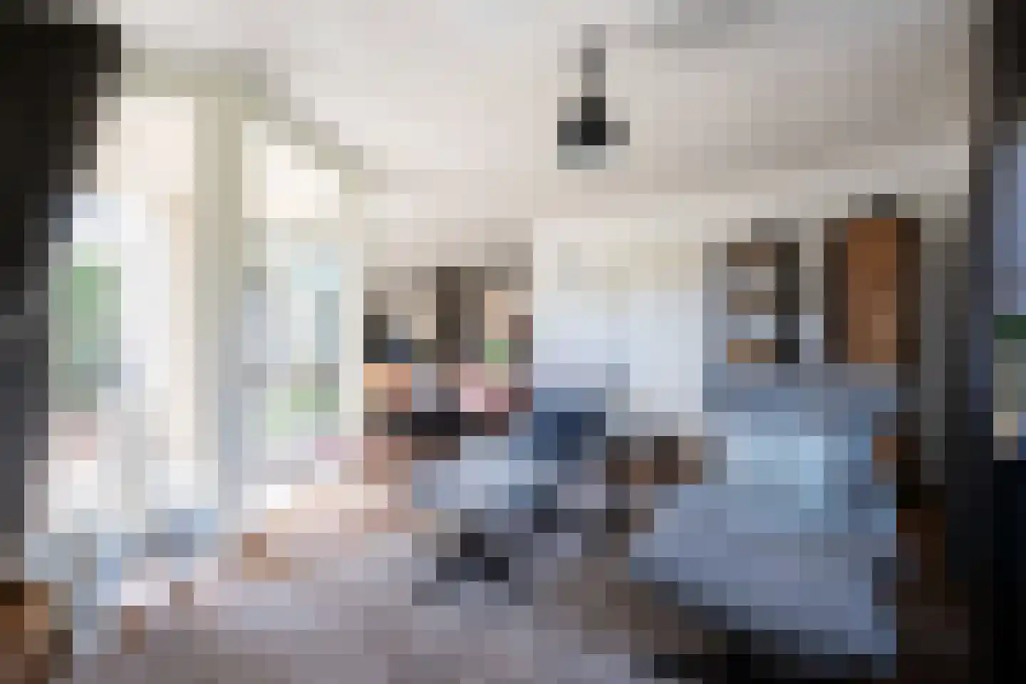 Madelieflaan 9 Hoeven thumbnail 17