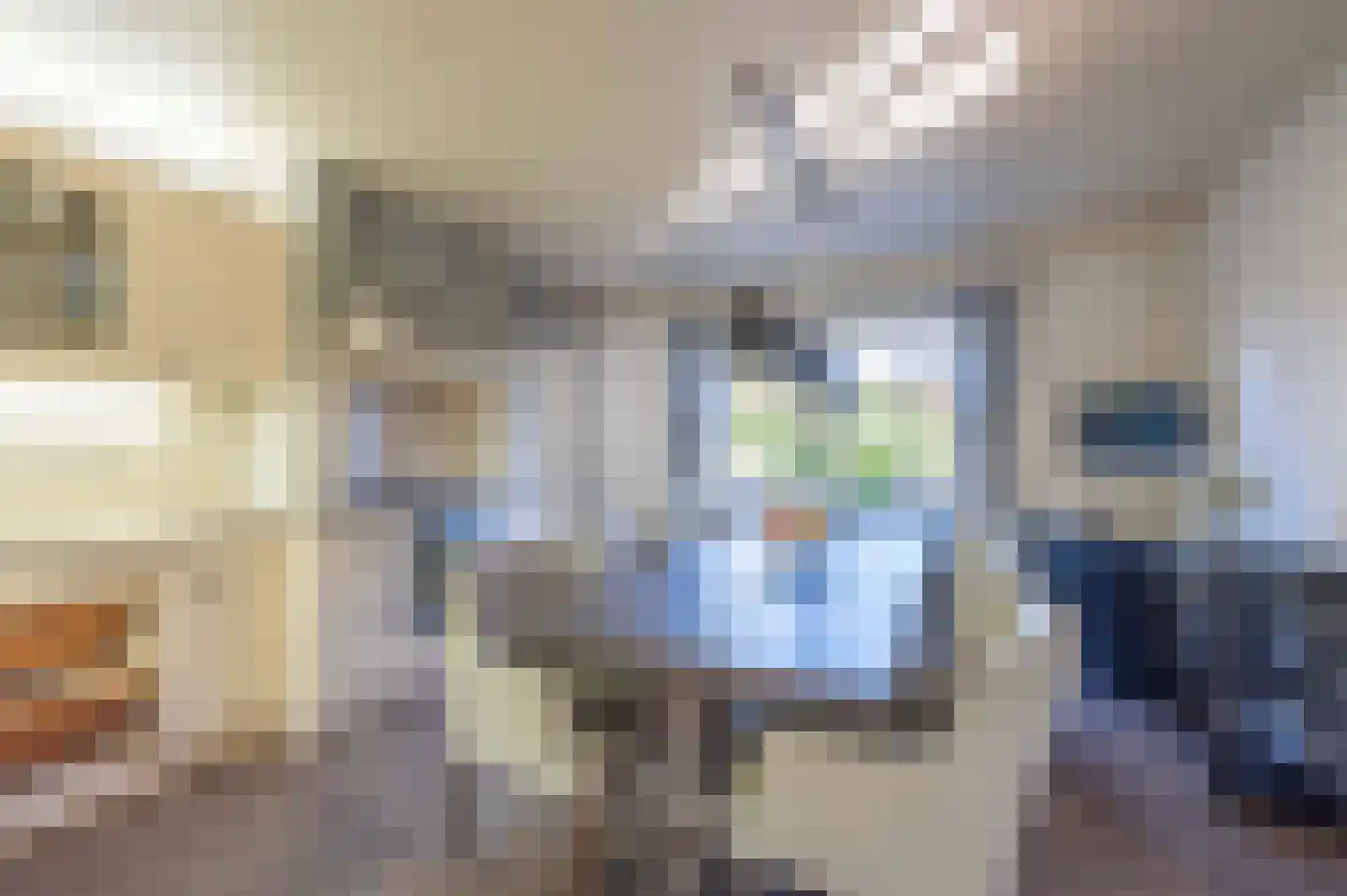 Madelieflaan 9 Hoeven thumbnail 19