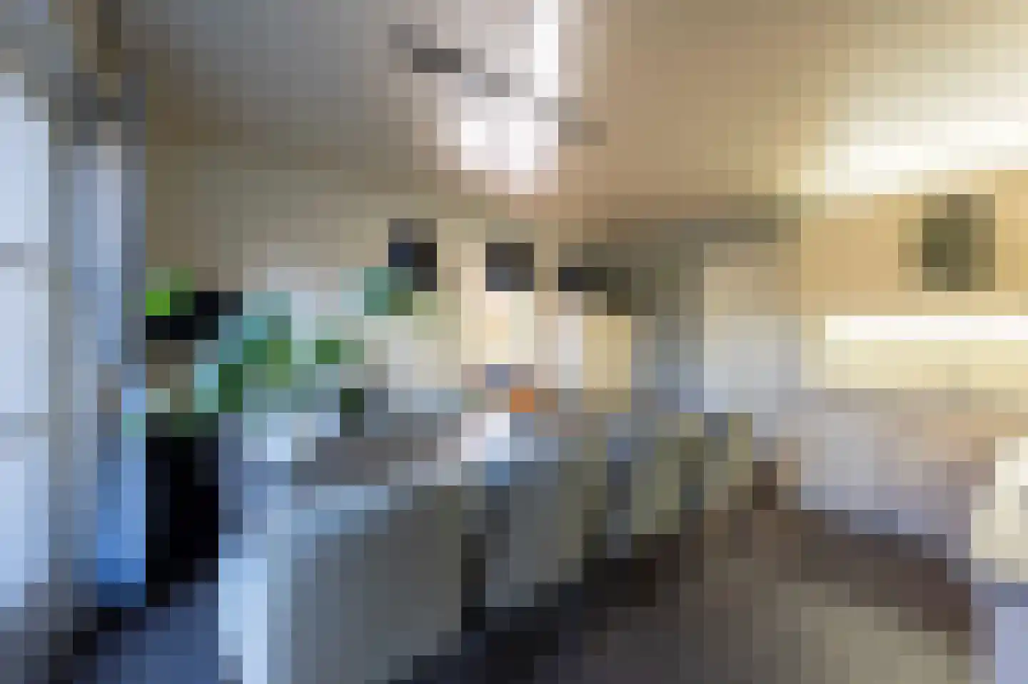 Madelieflaan 9 Hoeven thumbnail 20