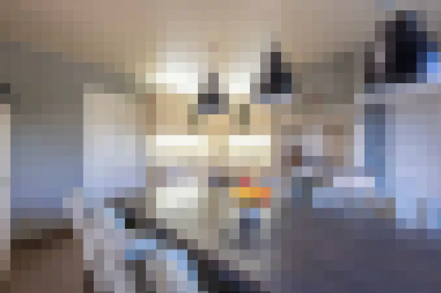 Madelieflaan 9 Hoeven thumbnail 21