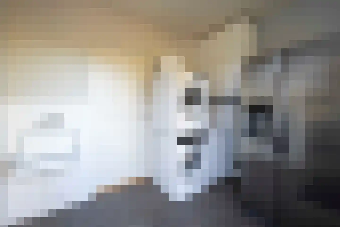 Madelieflaan 9 Hoeven thumbnail 22