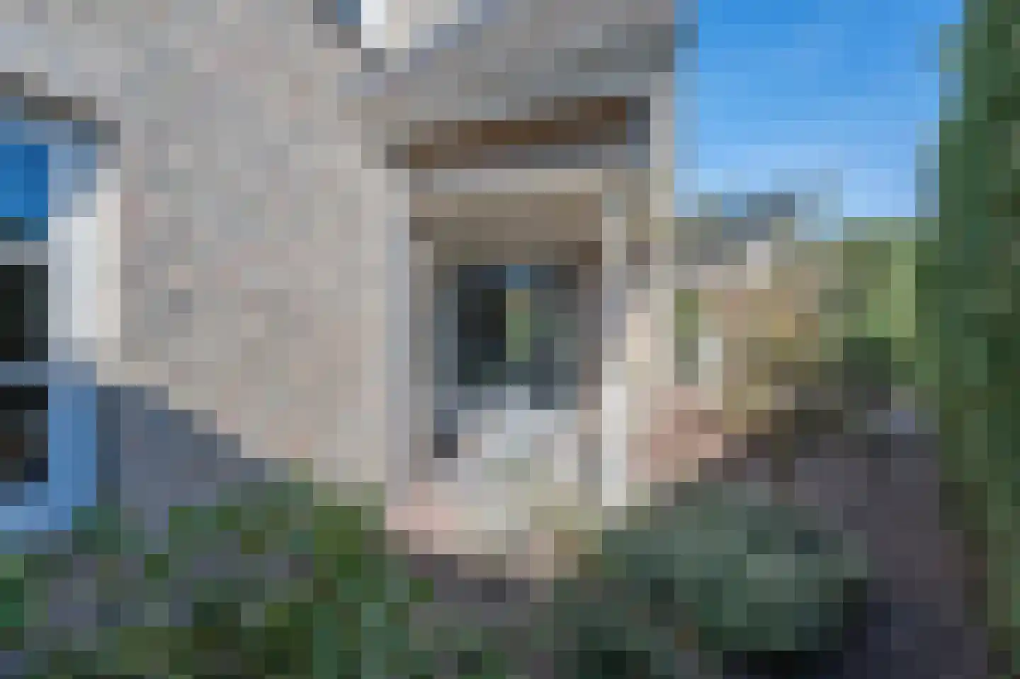 Madelieflaan 9 Hoeven thumbnail 28