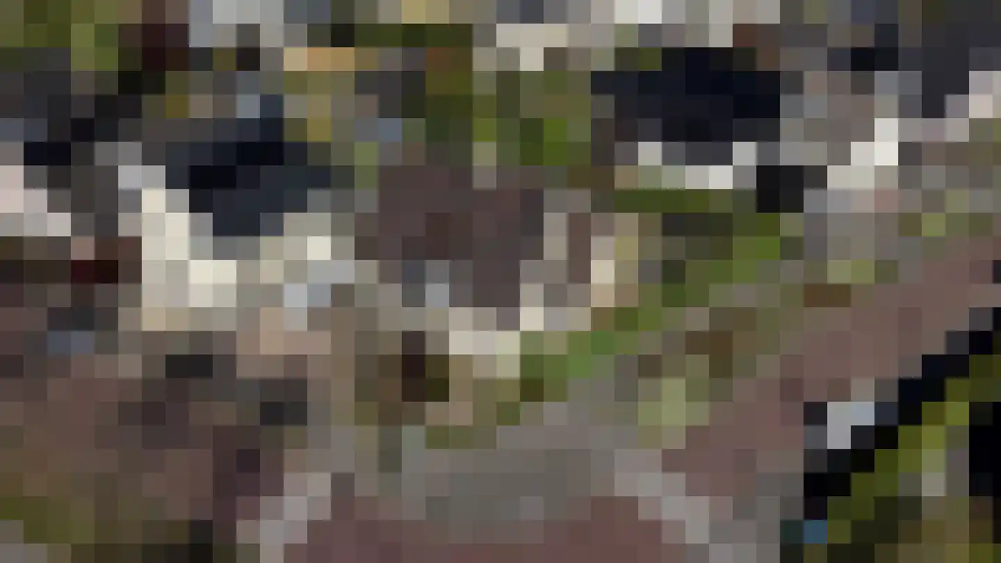 Madelieflaan 9 Hoeven thumbnail 4