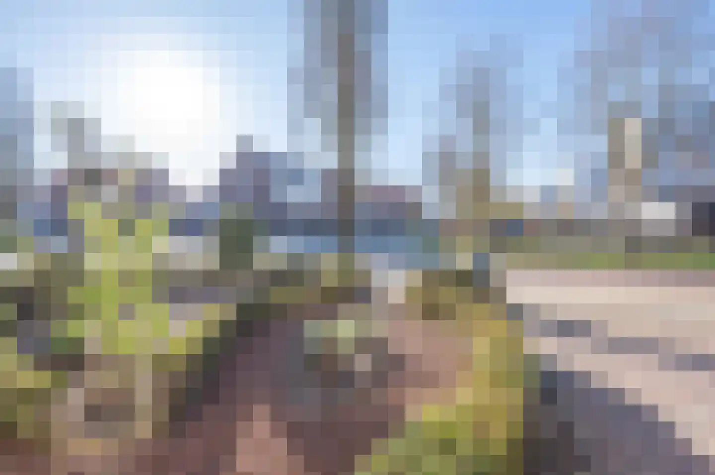 Madelieflaan 9 Hoeven thumbnail 8