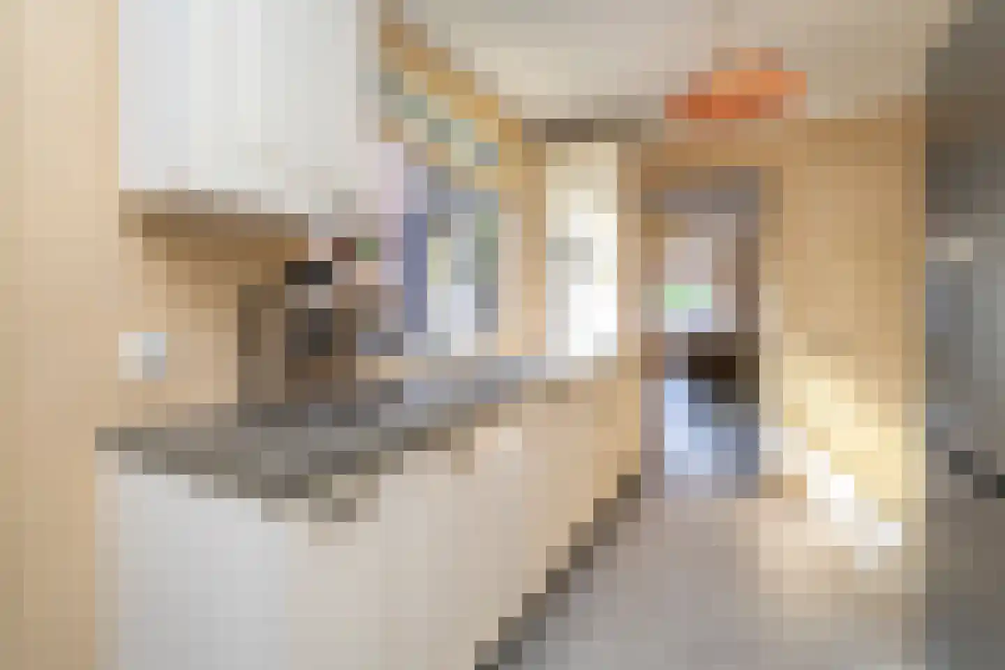Madeliefstraat 10 Tilburg thumbnail 20