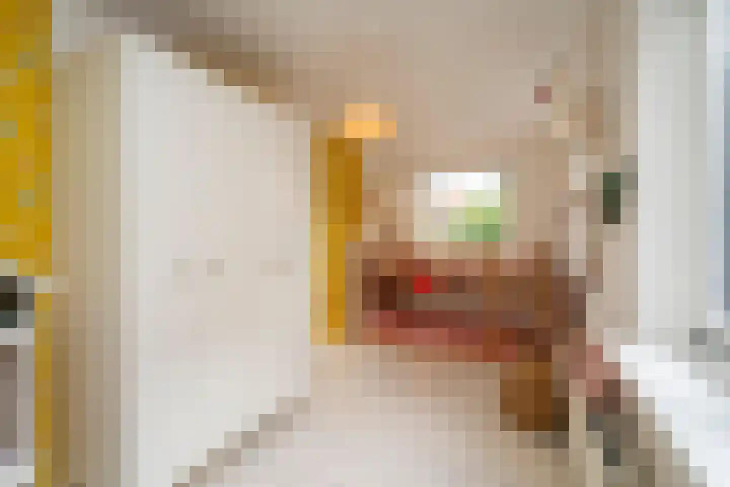 Madeliefstraat 10 Tilburg thumbnail 4