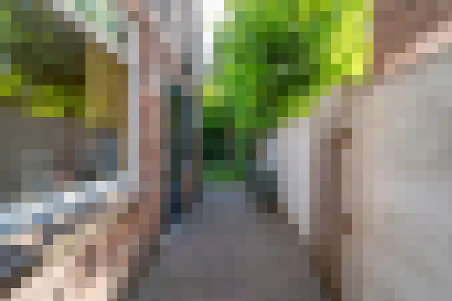 Madeliefstraat 10 Tilburg thumbnail 40