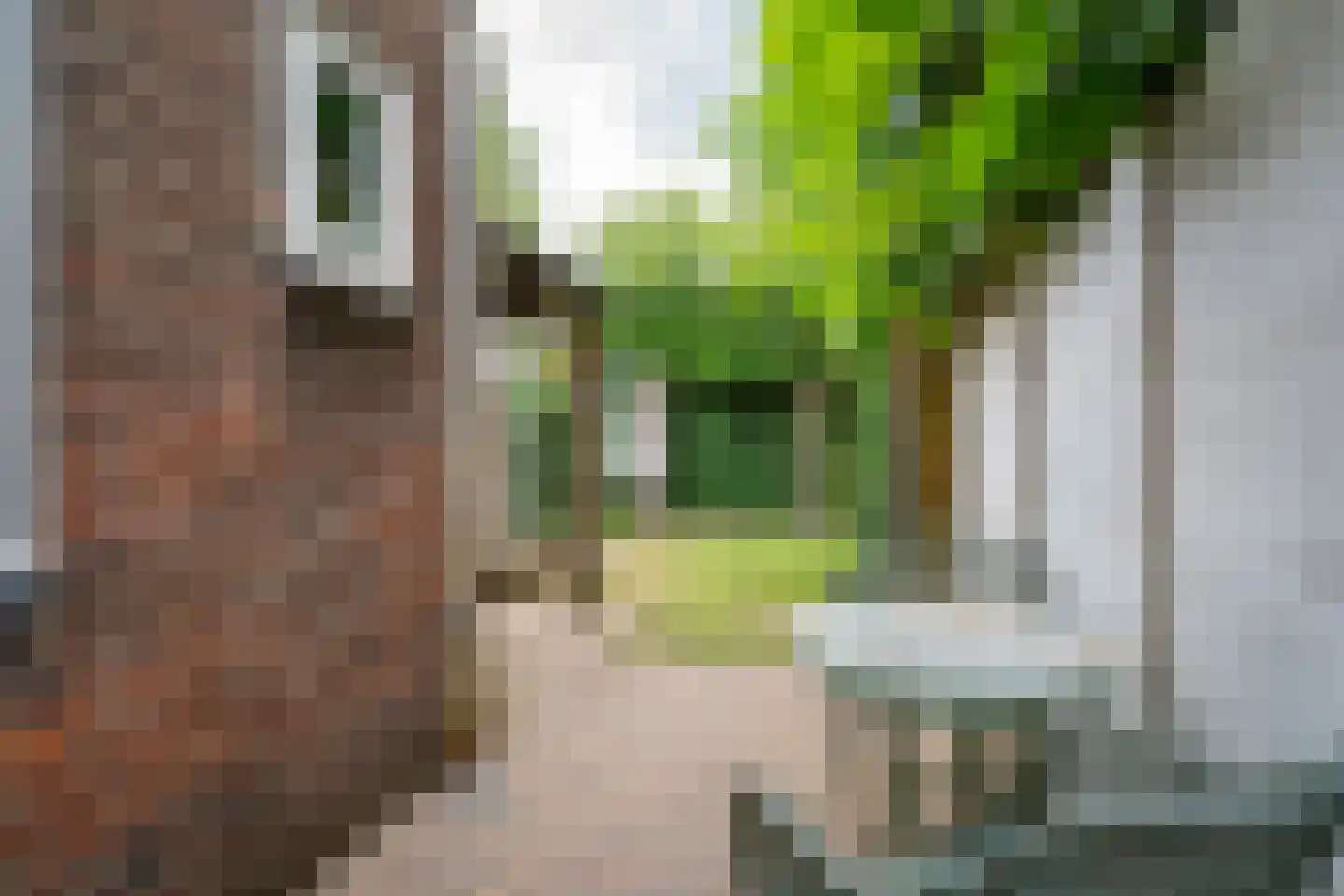 Madeliefstraat 10 Tilburg thumbnail 41
