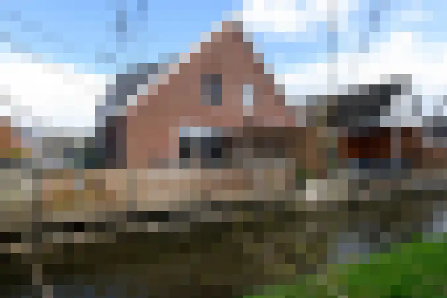 Madeliefstraat 11 Bleskensgraaf ca thumbnail 5