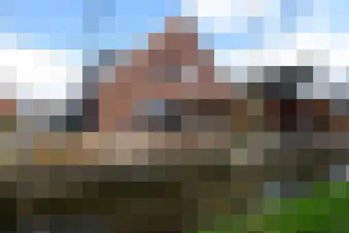 Madeliefstraat 11 Bleskensgraaf ca thumbnail 5