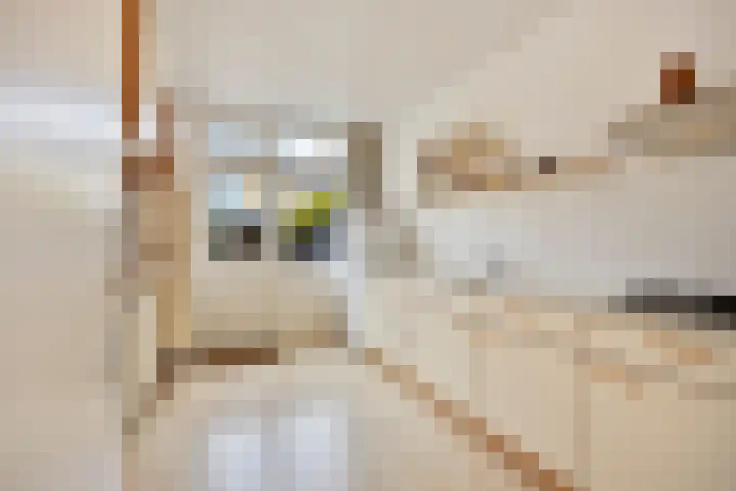 Madeliefstraat 12 Krommenie thumbnail 7