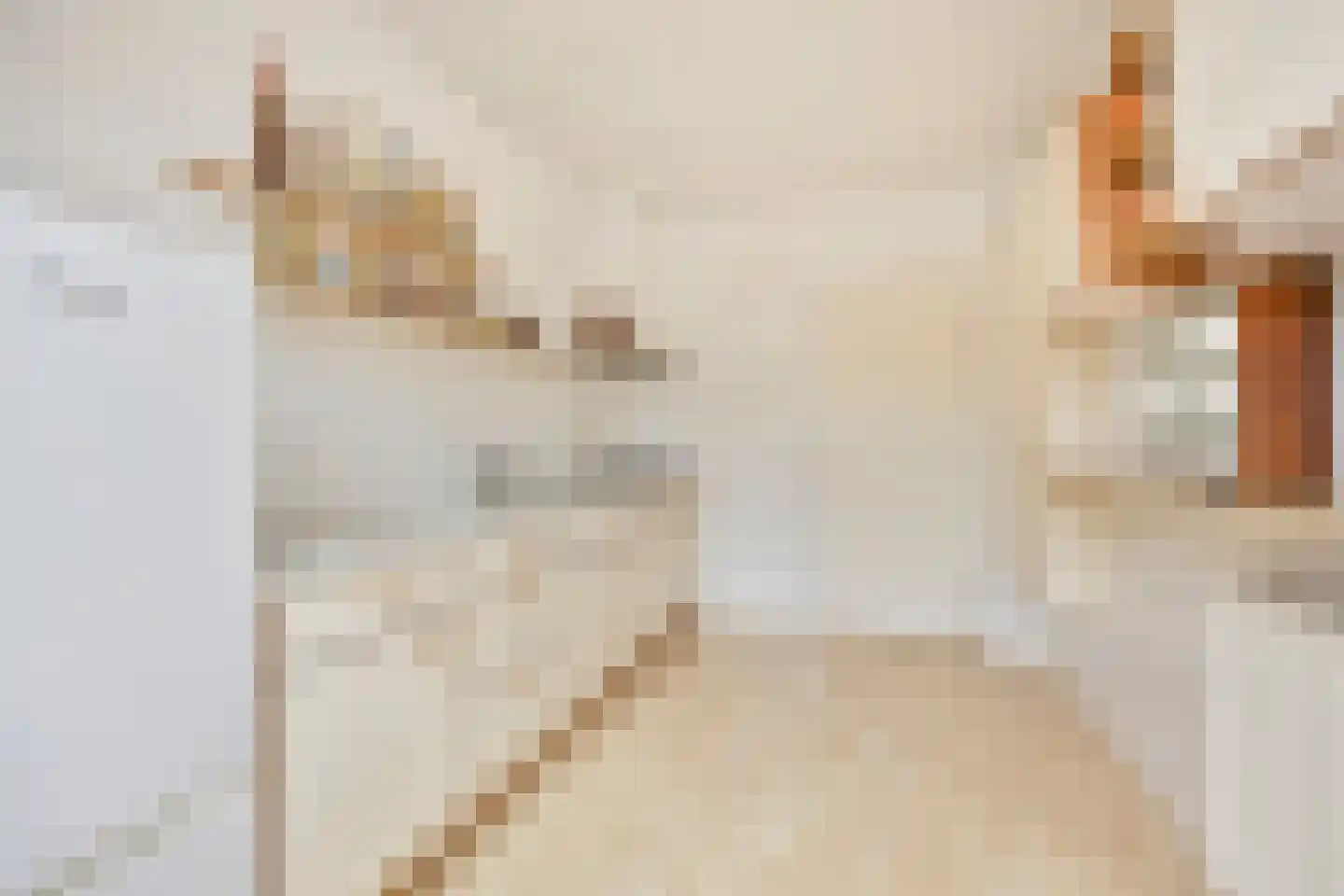 Madeliefstraat 12 Krommenie thumbnail 8