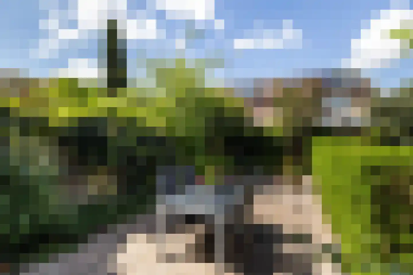 Madeliefstraat 14 Klaaswaal thumbnail 34