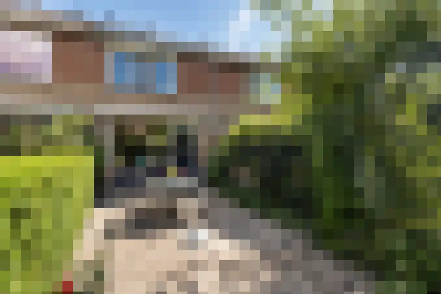 Madeliefstraat 14 Klaaswaal thumbnail 35