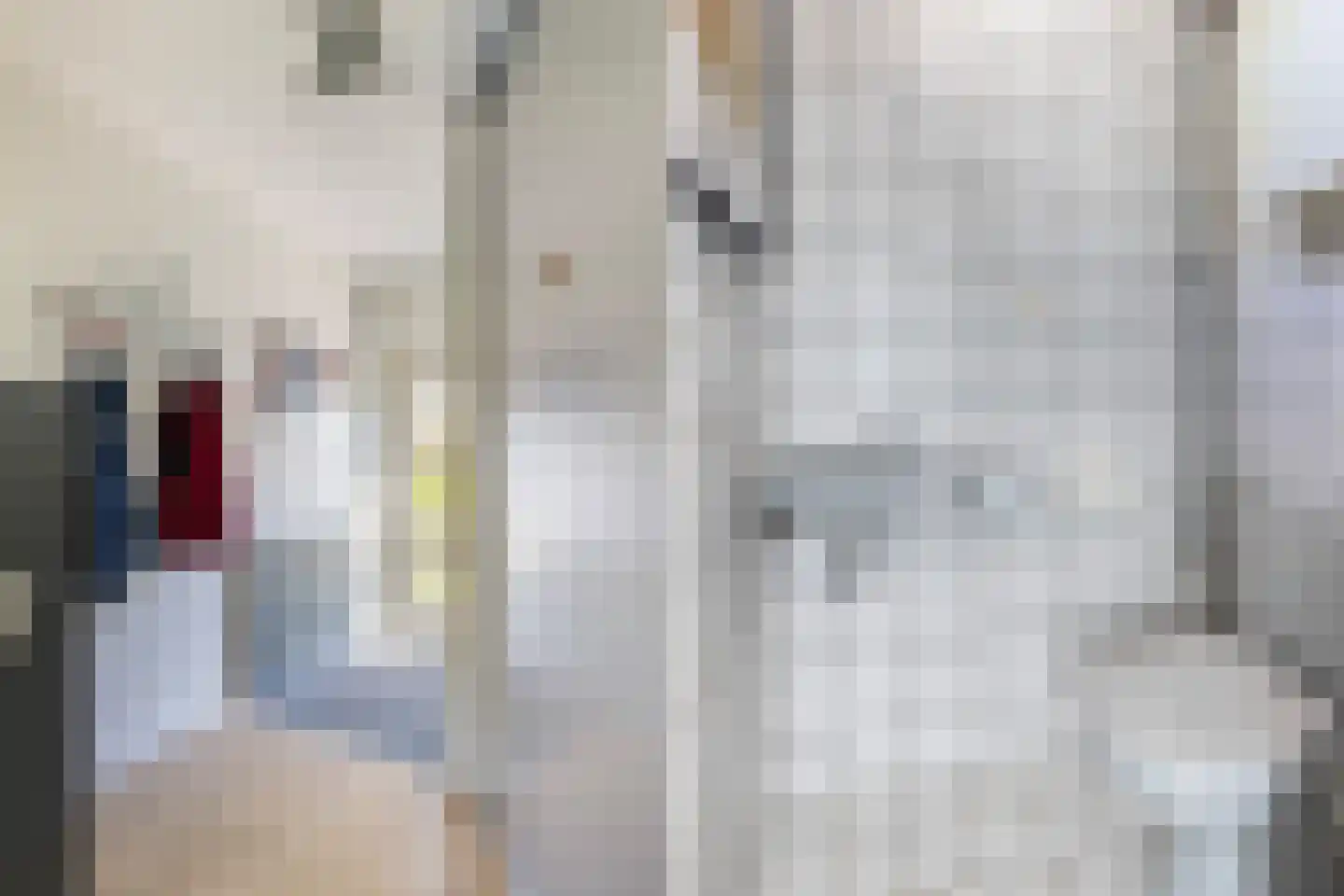 Madeliefstraat 14 Klaaswaal thumbnail 5