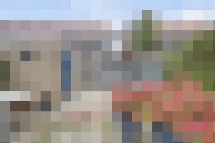 Madeliefstraat 14 Spijkenisse thumbnail 11