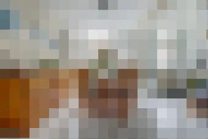 Madeliefstraat 14 Spijkenisse thumbnail 8