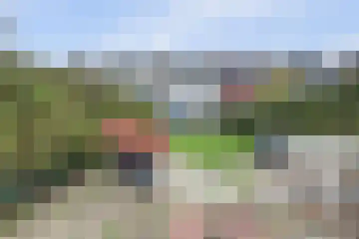 Madeliefstraat 14 Spijkenisse thumbnail 9