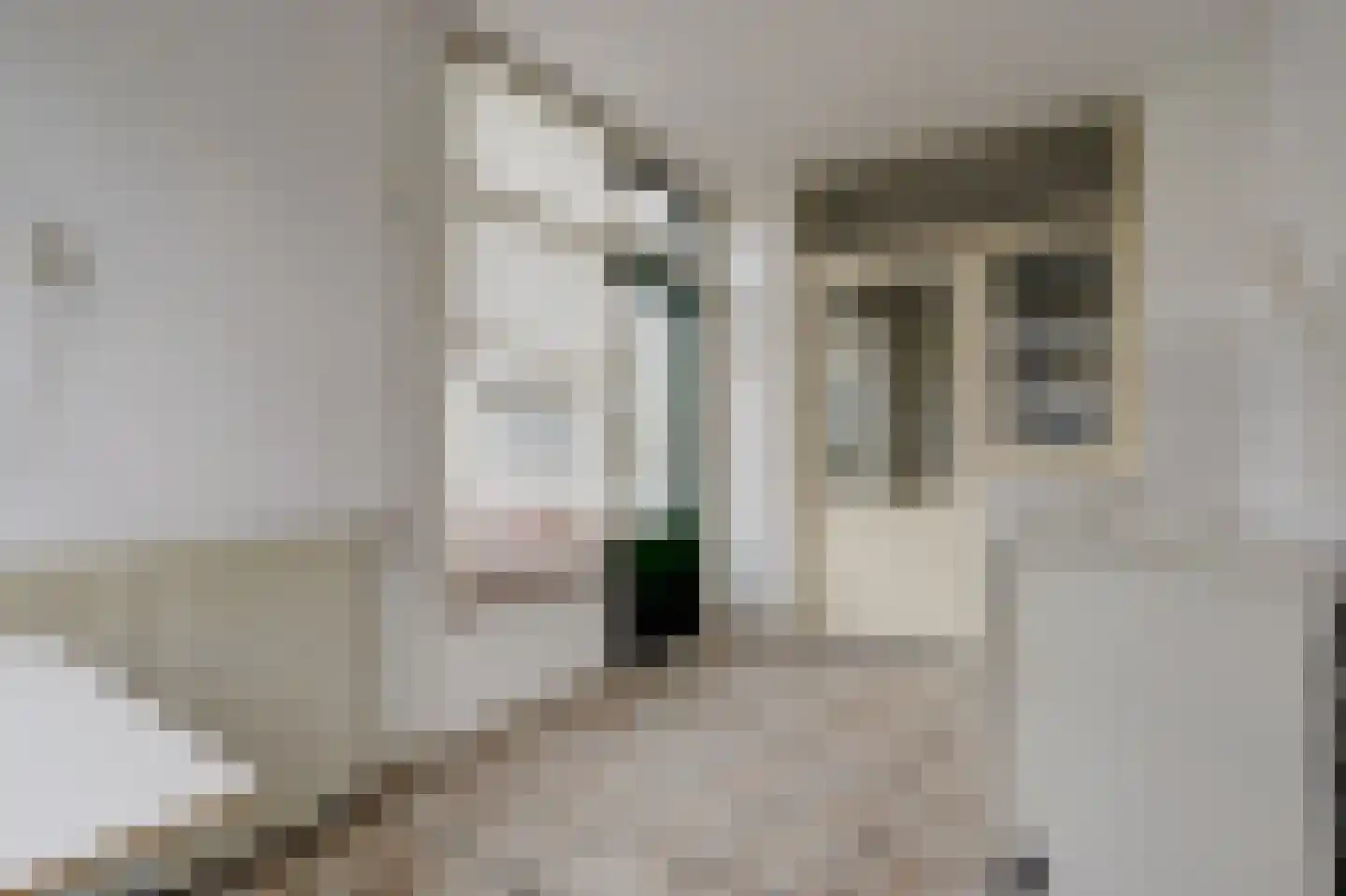 Madeliefstraat 17 Spijkenisse thumbnail 8