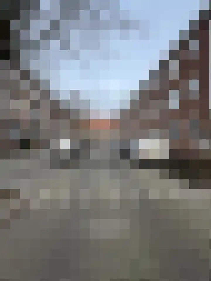 Madeliefstraat 18 C Rotterdam thumbnail 10