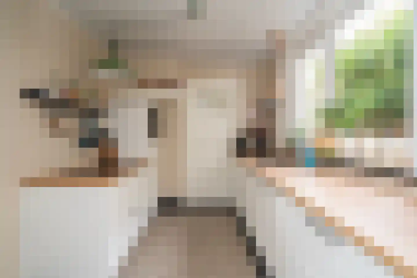 Madeliefstraat 19 Tilburg thumbnail 18
