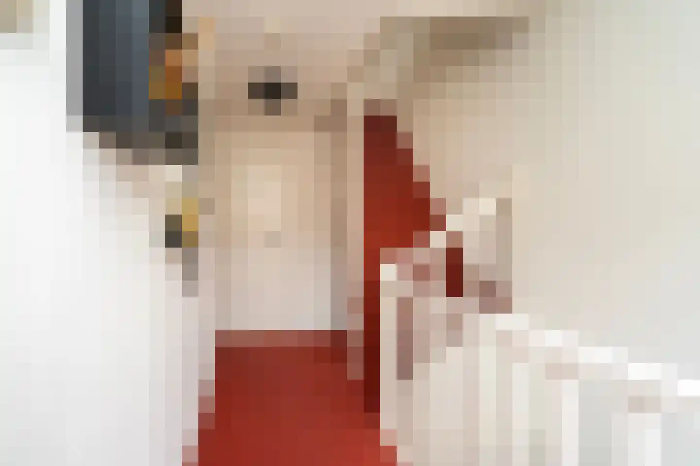 Madeliefstraat 19 Tilburg thumbnail 33