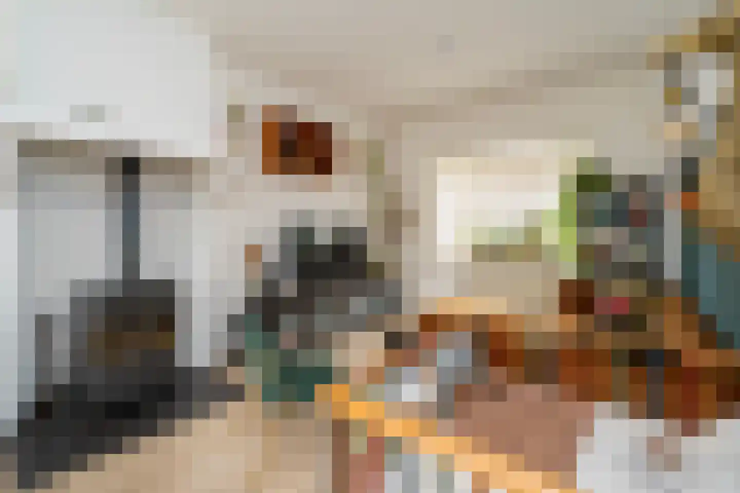 Madeliefstraat 19 Tilburg thumbnail 8