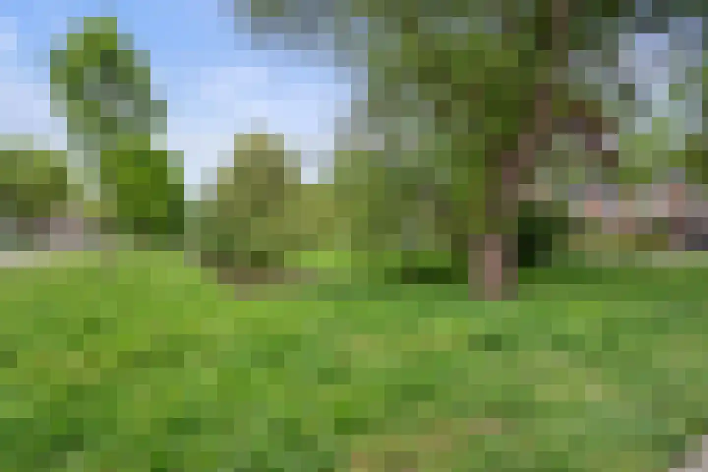 Madeliefstraat 2 Vught thumbnail 42
