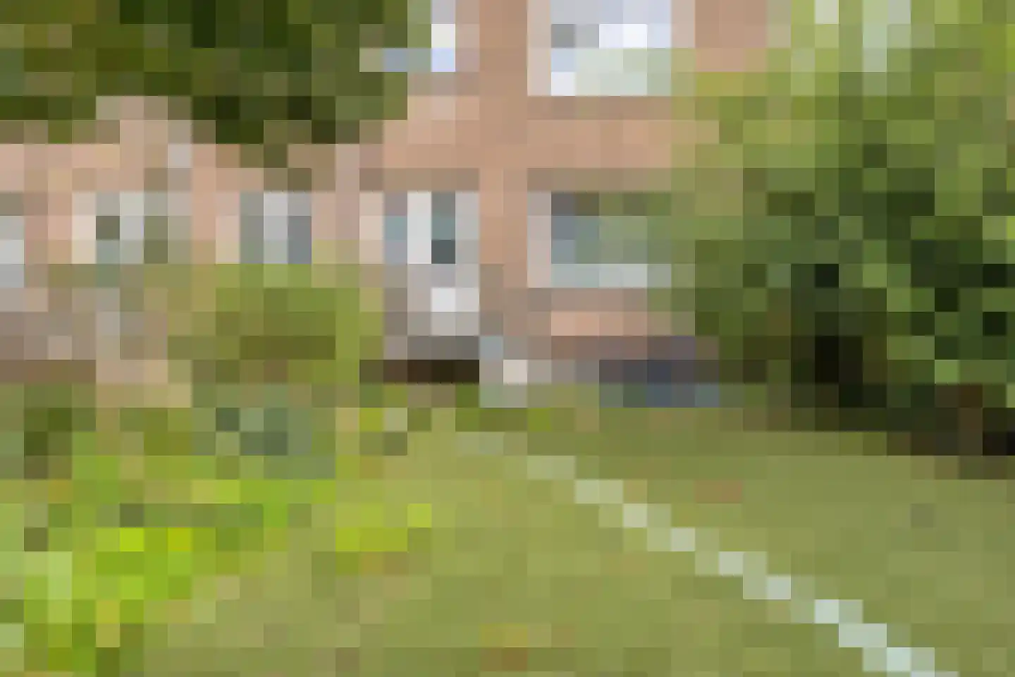 Madeliefstraat 23 B Rotterdam thumbnail 25