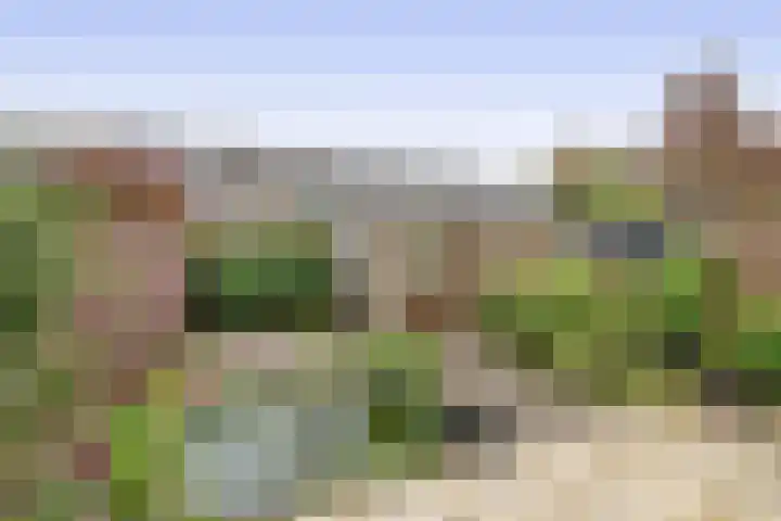 Madeliefstraat 23 Krommenie thumbnail 4