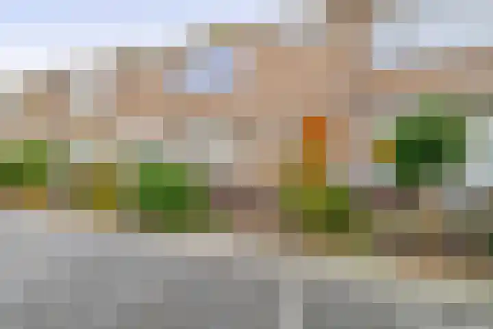 Madeliefstraat 23 Krommenie thumbnail 7